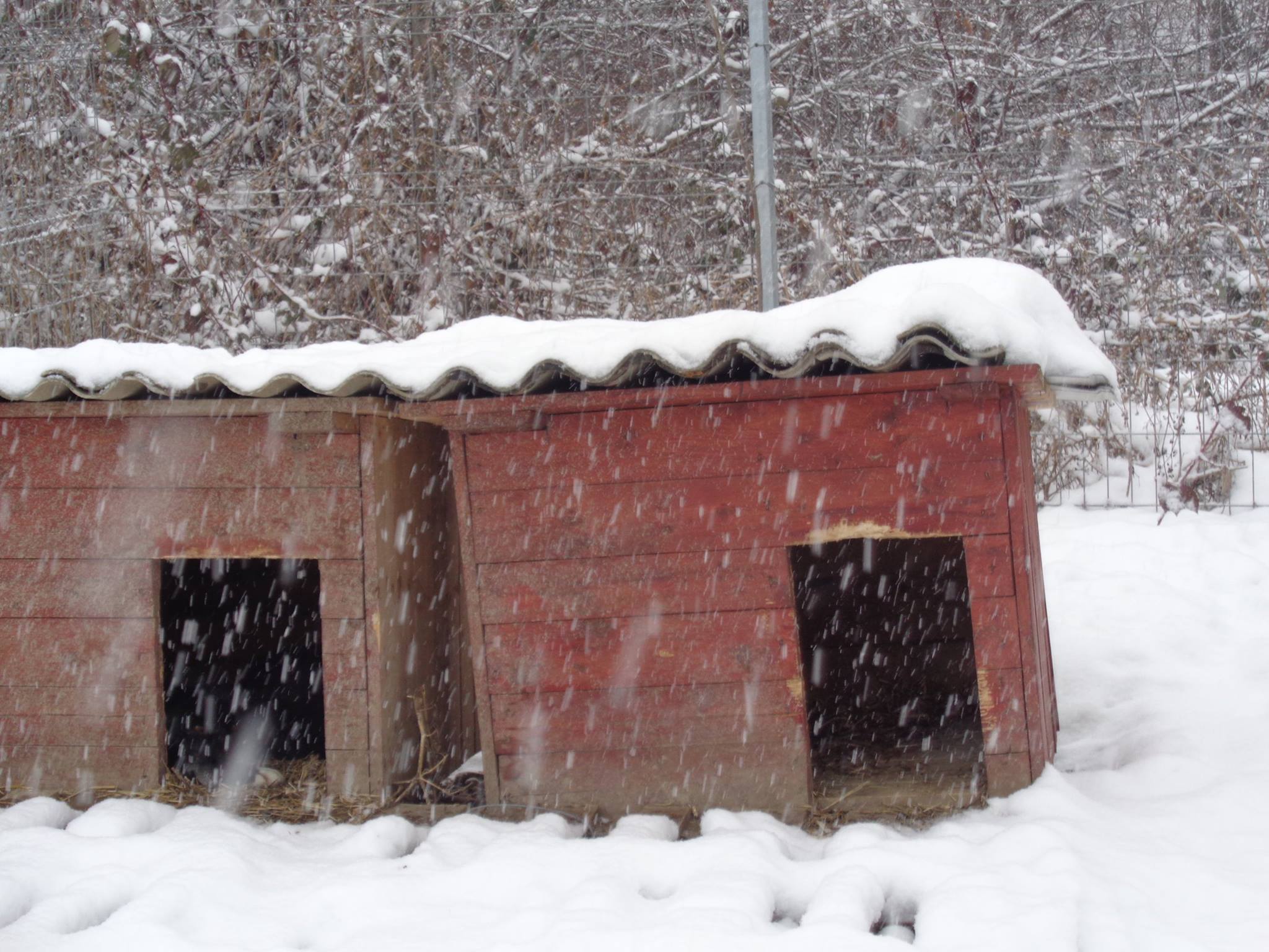 Es schneit...alte Hütten mit Wellblech als Dach
